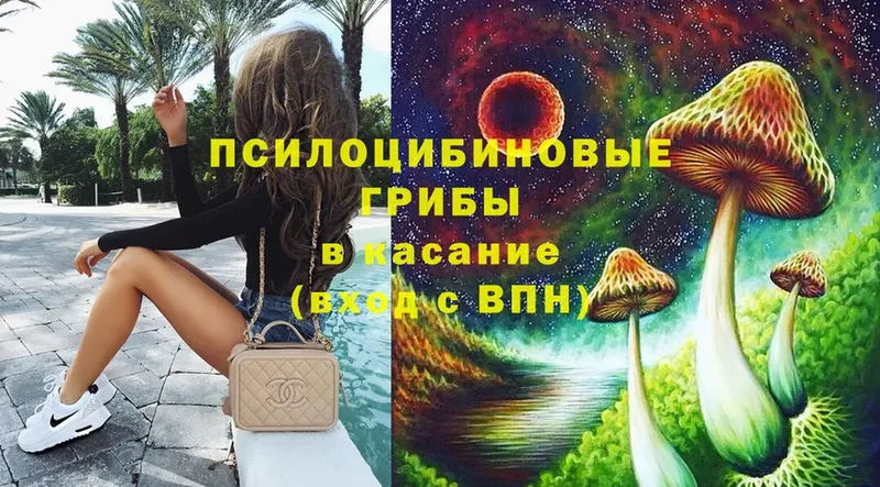 Галлюциногенные грибы MAGIC MUSHROOMS  МЕГА как войти  Бежецк 